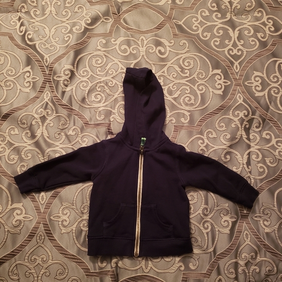 Carter's Other - Carter's kids hoodie.